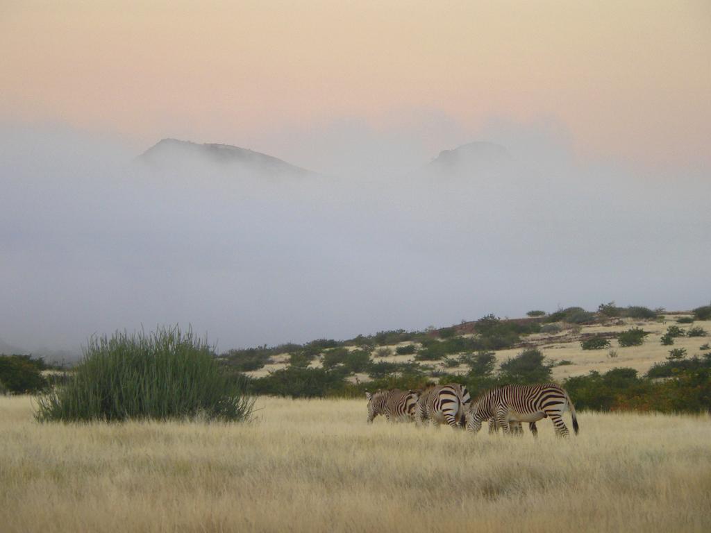 Etendeka Mountain Camp 达马拉兰 外观 照片