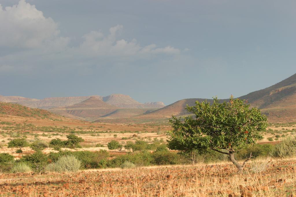 Etendeka Mountain Camp 达马拉兰 外观 照片
