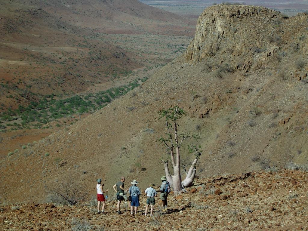 Etendeka Mountain Camp 达马拉兰 外观 照片
