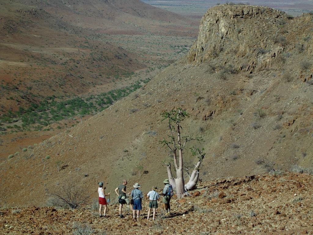 达马拉兰Etendeka Mountain Camp别墅 外观 照片